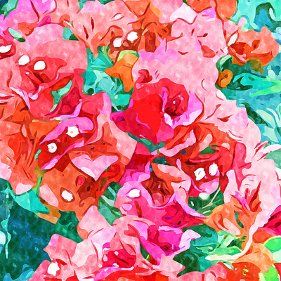 Wild Bougainvillea, Bloom Summer Floral Bohemian plants