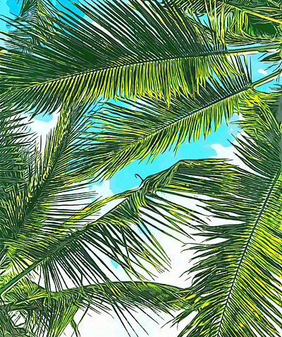 Life Under Palm Trees, Colorful Bohemian Beachy, Tropical Travel bohemian