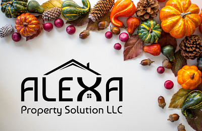 Alexa Property Solution 3d animation art blackfriday branding design fuentes goblue graphic design illustration logo logo design maggie modern logo motion graphics polksa popular realestate thanksgiving ui
