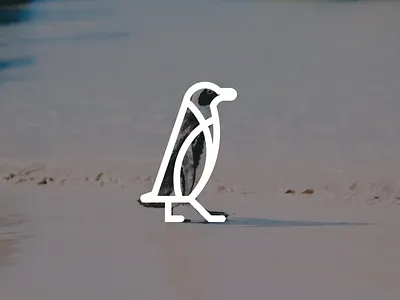 Minimal drawing - PENGUIN branding design graphic design illustration vector