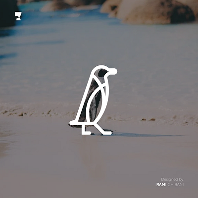 Minimal drawing - PENGUIN branding design graphic design illustration vector