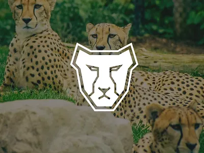 Minimal drawing - CHEETAH branding design graphic design illustration vector