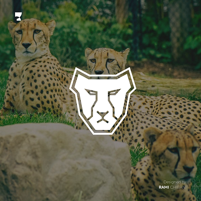 Minimal drawing - CHEETAH branding design graphic design illustration vector