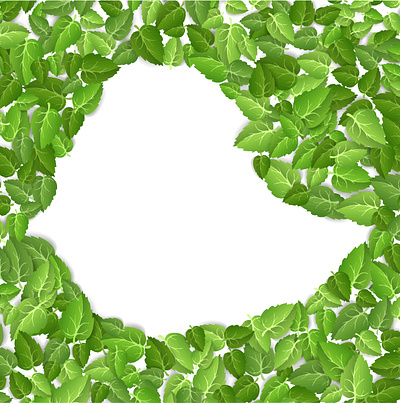 Ethiopian Green Legacy design graphic design illustration vector