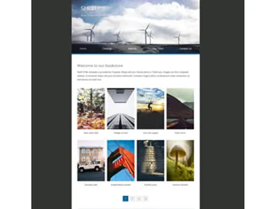 WORDPRESS WEBSITE costom html css figma to wordpress htm css html design wordpress website