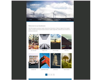 WORDPRESS WEBSITE costom html css figma to wordpress htm css html design wordpress website