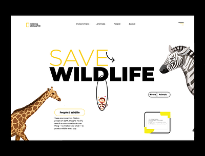 Wild Life concept