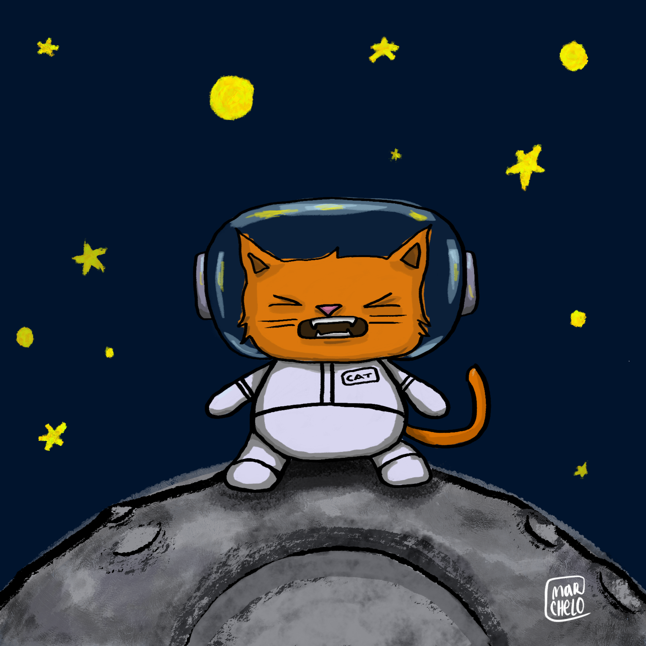 Chat cosmique, personl project, 2022. illustration