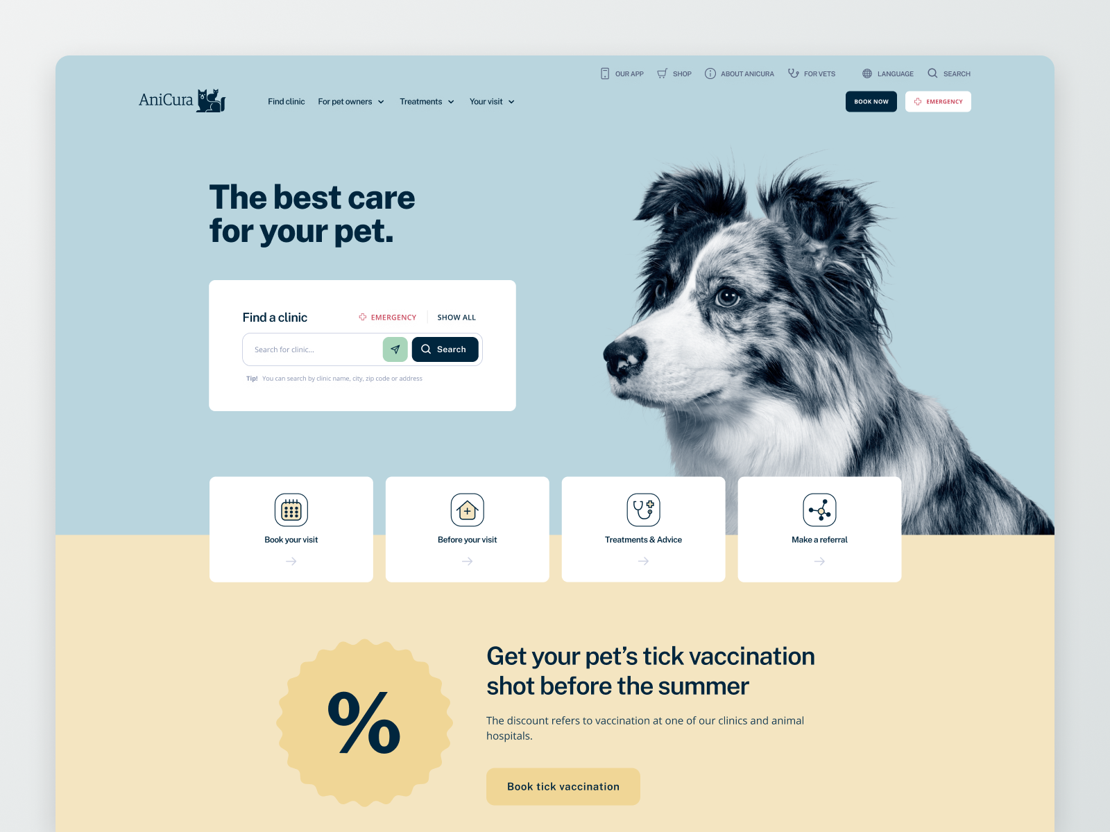 Example of AniCura Website