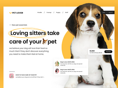 Pet Lover Web Dribble Shot adoption birds dog adopted web ui design dog lovers dog ui dog web ui design landing page design pet cage pet care ui design pet shop ui design petlover web uidesign petshop ui designer indore ui indore uiux uiux design web design wolf ui design