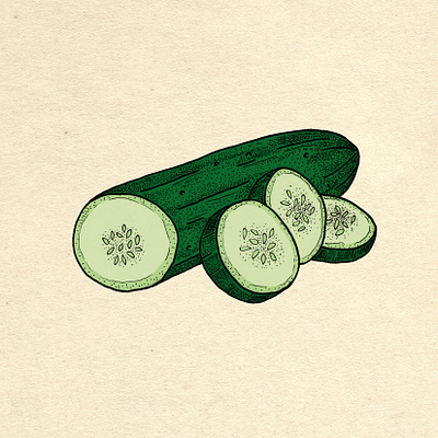 Cucumber botanical cocktail cook cucumber drawing editorial green illustration kitchen vegan vegetable veggie