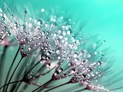 lyfbodig health healthy living wellness