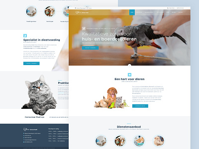 Veterinarian | Webdesign design graphic design ui ux webdesign webdevelopment