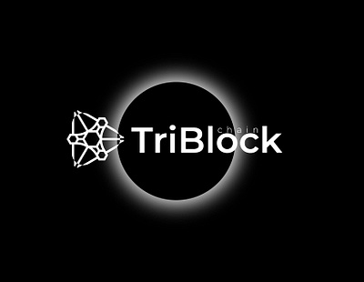 Blockchain Logo Design blockchainlogo branding creativelogo cryptologo graphicdesigner logoconcept logodesign logodesigner logofolio logoideas logotype modernlogo modernlogodesign nftlogo