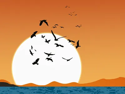 Beautiful sunset - made in photoshop branding design graphic design illustration vector