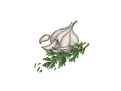 Garlic and Rosemary Illustration design graphic design illustration