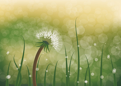Morning illustration vector