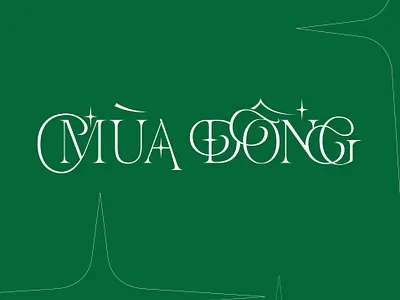 MÙA ĐÔNG design handmade handwriting hanoi illustration logo rawtype type typography vietnam