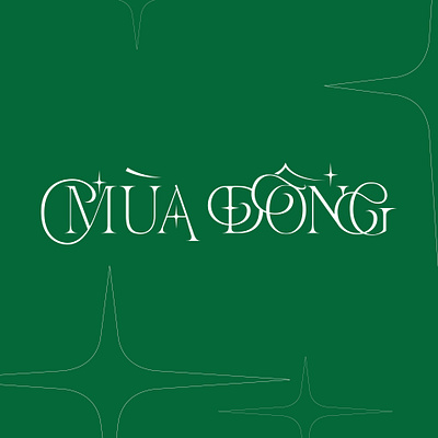 MÙA ĐÔNG design handmade handwriting hanoi illustration logo rawtype type typography vietnam