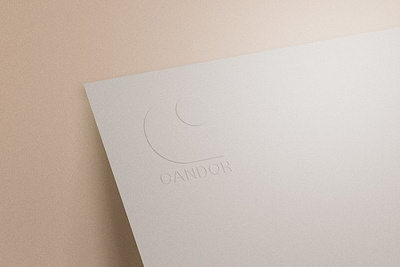 Candor Letterhead brand identity design branding design graphic design letterhead logotype