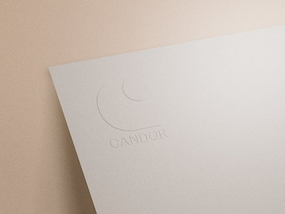 Candor Letterhead brand identity design branding design graphic design letterhead logotype