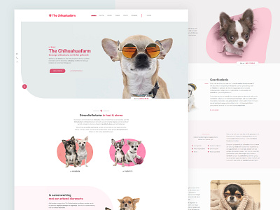 The chihuahuafarm | Webdesign design graphic design ui ux webdesign webdevelopment