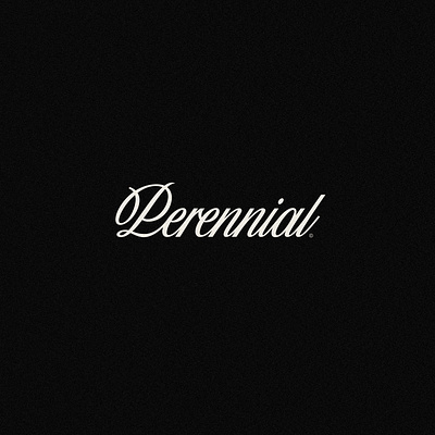 Perennial I brendan cursive lettering logo logotype p perennial prince script type typography wordmark