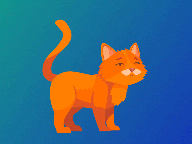 Cat animation motion