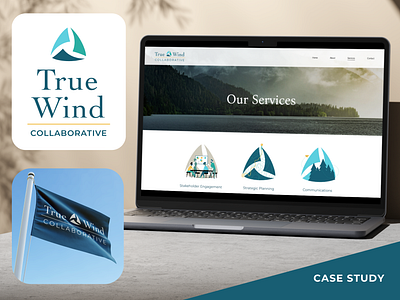 True Wind Collaborative - Branding brand development branding consultant corporate design illustration logo logo design logo development public relations solopreneur vector visual identity