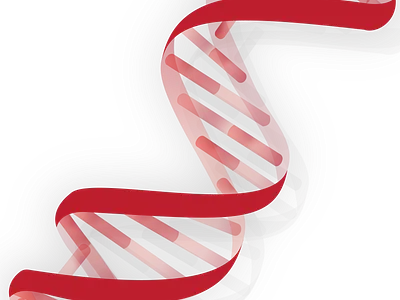 DNA Logo 3 aravind reddy tarugu biology biotech branding design dna dna helix dna logo dna molecule dna render dna strand graphic design illustration logo red science scientist tarugu ui vector