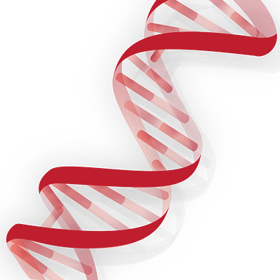 DNA Logo 3 aravind reddy tarugu biology biotech branding design dna dna helix dna logo dna molecule dna render dna strand graphic design illustration logo red science scientist tarugu ui vector