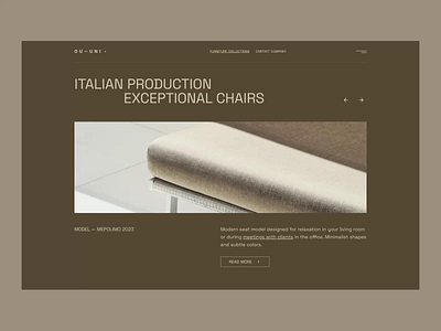 Chairs Collection / Website Concept chairs concept design furniture hero landing page minimalist slider ui ux web web design website