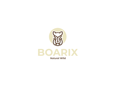 Boarix logo brand branding design graphic design illustration logo motion graphics ui ux vector