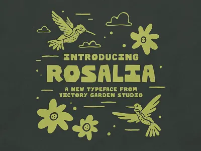 Rosalia Typeface branding design flower font free handmade hummingbird illustration lettering logo texture type typeface typography