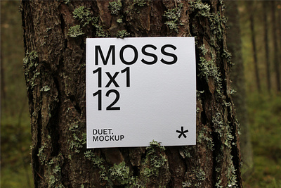 Moss Square Card 12 Mockup branding brochure card design download identity minimal mockups nature photoshop template typography