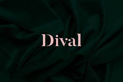 Dival - logo design branding clothes clothing clothing brand clothing store fashion fashion logo graphic design logo logo design logotype womens fashion
