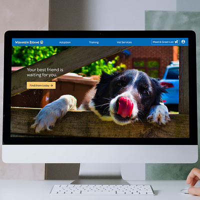 Animal Rescue Homepage design ui ux