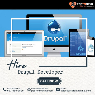 Hire Drupal Developers from PSDtoHTMLNinja drupal development drupal development company hire drupal developers