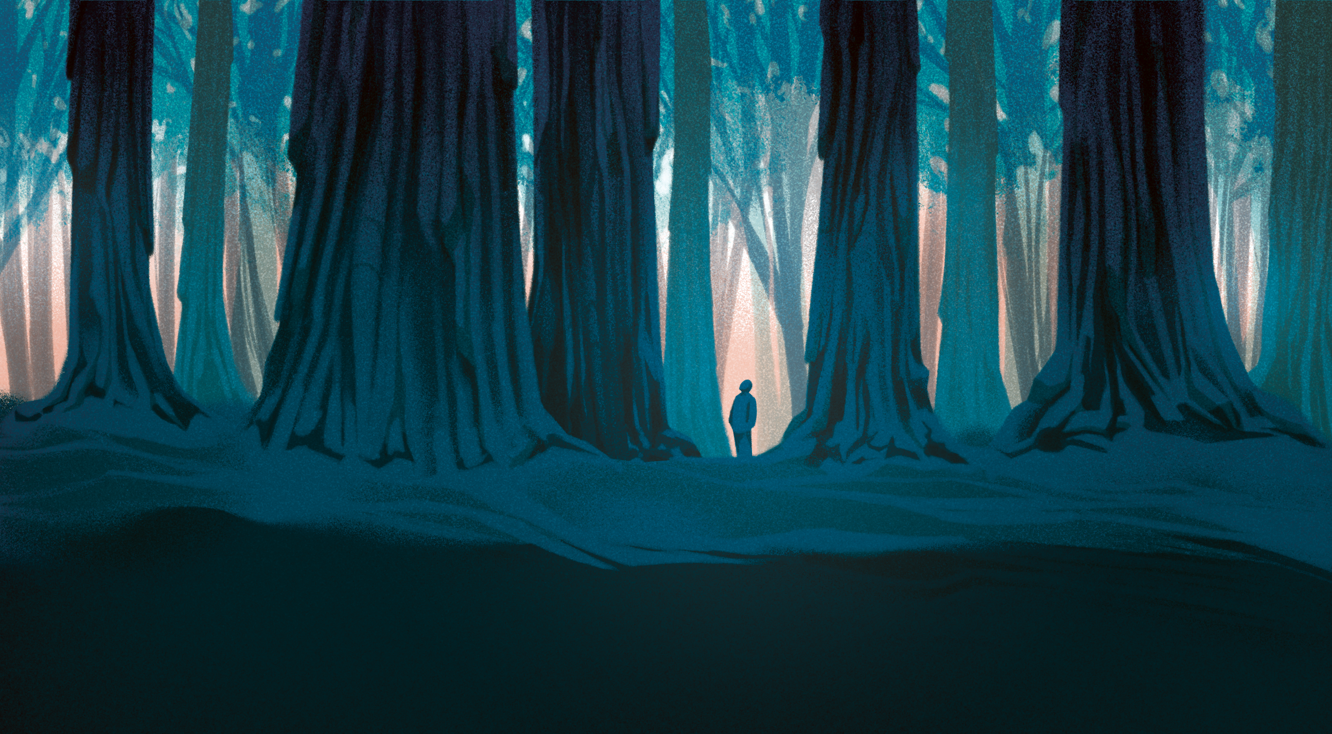 Tree Wisdom ancient editorial flora forest illustration illustrator omnia magazine photoshop procreate redwood tree