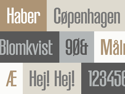 HABER Font branding commercial font danish design font lettering logo sans serif scandinavian type typeface typography vector