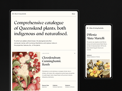 Queensland plants – Atlas of Living Australia design graphic design homepage landing page minimalistic modern old drawings serif font ui user experience ux web design web layout