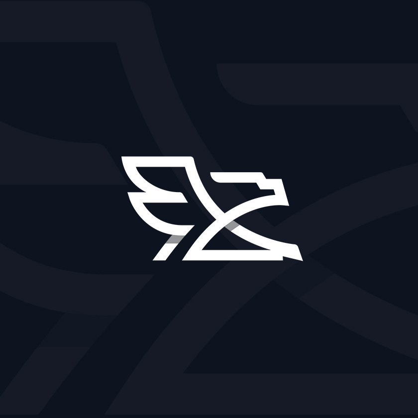 Example of Fast Logo Design Service