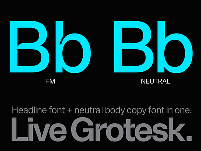 Live Grotesk – Two Fonts in One Family ad advertising billboard brand brand book branding campaign copywriting creative direction design font font design fonts graphic design illustration logo typography