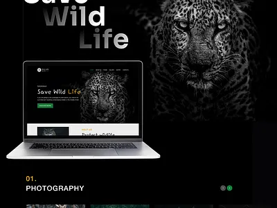 Save Wild Life presentation site ui ux webdesign
