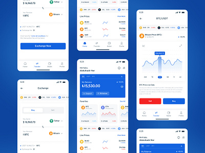 Crypto Wallets astaamiye branding creative crypto crypto wallets and exchanges design exchanges figma graphic design ui uiux design wallets