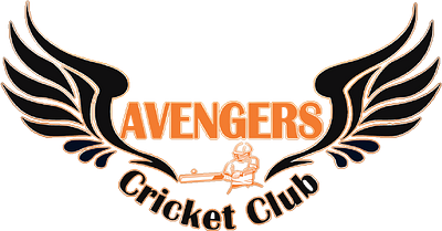 Sample Combo logo graphic design logo