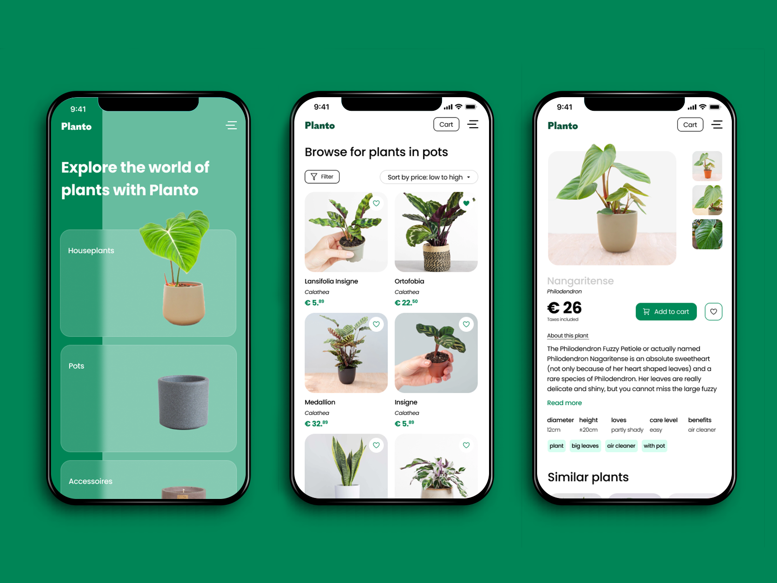 Example of Landing Page Design And Webflow Build