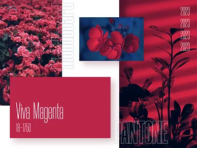 Color of the year 2023 | Pantone | Viva Magenta 2023 color palette color2023 colour design trends magenta moodboard palette pantone pantone2023 poster trend trend color trends2023 trendy viva magenta