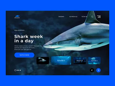 Shark animal animal planet figma landing landing page shark tilda ux ui web design web designer