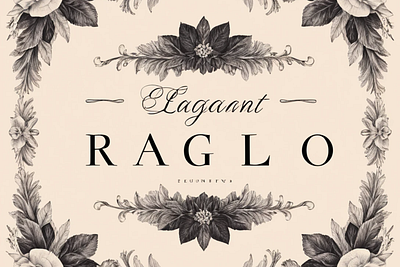 Ragelo elegant family font design font graphic design illustration sans serif